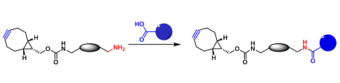 BCN-Carboxyl/Carbonyl Reactive（BCN-羧基/羰基反应）